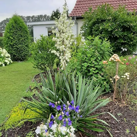 Ferienwohnung Im Zanderhaus アパート Dolgen am See